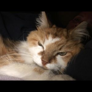 Meet your Posher, Jillynne